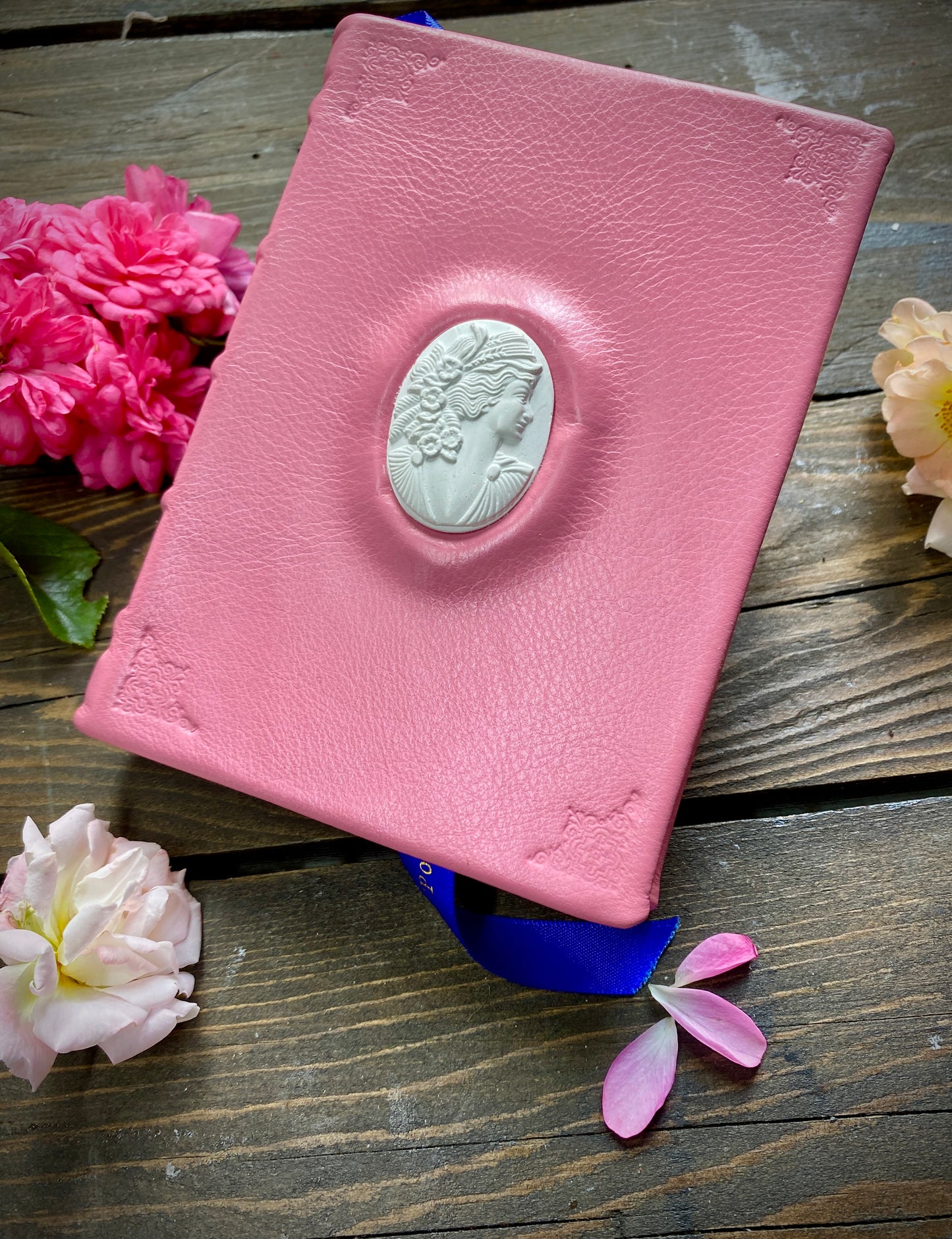 Muse in Rose Pink